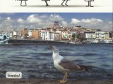 2015 PTT YENİ YIL  TEBRİK KARTLARI