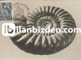 HOLLANDA 1964 KARTMAXİMUM