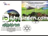 2013 UNESCO SOMUT OLMAYAN KÜLTÜREL MİRAS FDC
