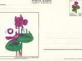 1988 DAMGASIZ SİKLAMEN POSTA KARTI
