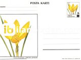 A SÜRSARJLI 30 L. ANKARA ÇİĞDEMİ POSTA KARTI