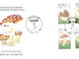 K.K.T.C. 1997 MANTARLAR FDC