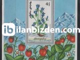 MOĞOLİSTAN 1991 DAMGASIZ TIBBİ BİTKİLER BLOKU