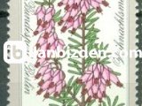 ALMANYA (BERLİN) 1975 DAMGASIZ CHİRİSTMAS ÇİÇEK SERİSİ