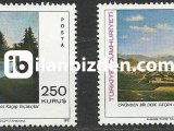 1970 DAMGASIZ TABLO SERİSİ III