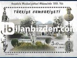 2021 DAMGASIZ ANADOLU MEDENİYETLERİ MÜZESİNİN 100. YILI BLOKU