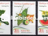 2021 DAMGASIZ KABAKGİLLER SERİSİ