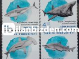 2021 DAMGASIZ KÖPEK BALIKLARI SERİSİ