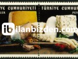 2022 DAMGASIZ PEYNİRLER SERİSİ