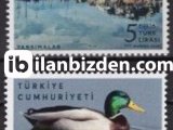 2022 DAMGASIZ YANSIMALAR SERİSİ