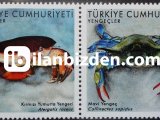 2022 DAMGASIZ YENGEÇLER SERİSİ