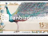 2023 DAMGASIZ TAVUS KUŞU SERİSİ