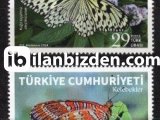 2024 DAMGASIZ KELEBEKLERI SERİSİ