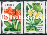 ROMANYA 2000 DAMGASIZ SÜS BİTKİLERİ SERİSİ