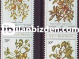 BOPHUTHATSWANA 1980 DAMGASIZ MEYVE ÇİÇEKLERİ SERİSİ