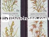 BOPHUTHATSWANA 1981 DAMGASIZ YERLİ OTLAR 1. SERİSİ