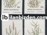 BOPHUTHATSWANA 1984 DAMGASIZ YERLİ  OTLAR SERİSİ