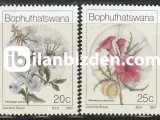 BOPHUTHATSWANA 1987 DAMGASIZ YABANİ ÇİÇEKLER SERİSİ