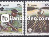 TRANSKEİ 1982 DAMGASIZ İZCİ HAREKETİNİN 75. YILI SERİSİ