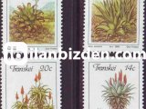 TRANSKEİ 1986 DAMGASIZ KAKTÜSLER SERİSİ