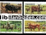 TRANSKEİ 1987 DAMGASIZ YEREL HAYVANLAR SERİSİ