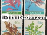TRANSKEİ 1988 DAMGASIZ DENİZ YOSUNLARI SERİSİ
