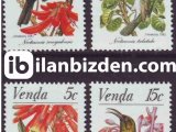 VENDA 1981 DAMGASIZ GÜNEŞ KUŞLARINI KORUMA SERİSİ