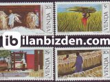 VENDA 1982 DAMGASIZ SİSAL YETİŞTİRİCİLİĞİ SERİSİ